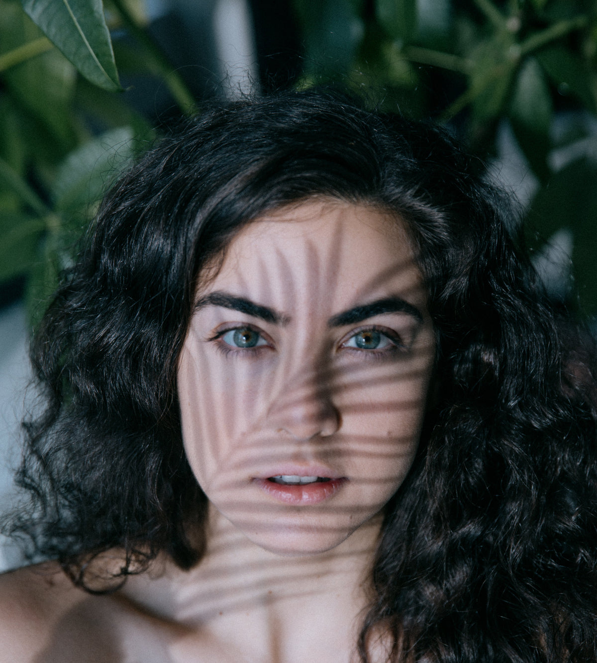 facial collection